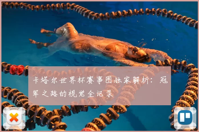 卡塔尔世界杯赛事图独家解析：冠军之路的视觉全记录