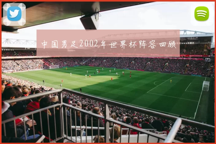 中国男足2002年世界杯阵容回顾