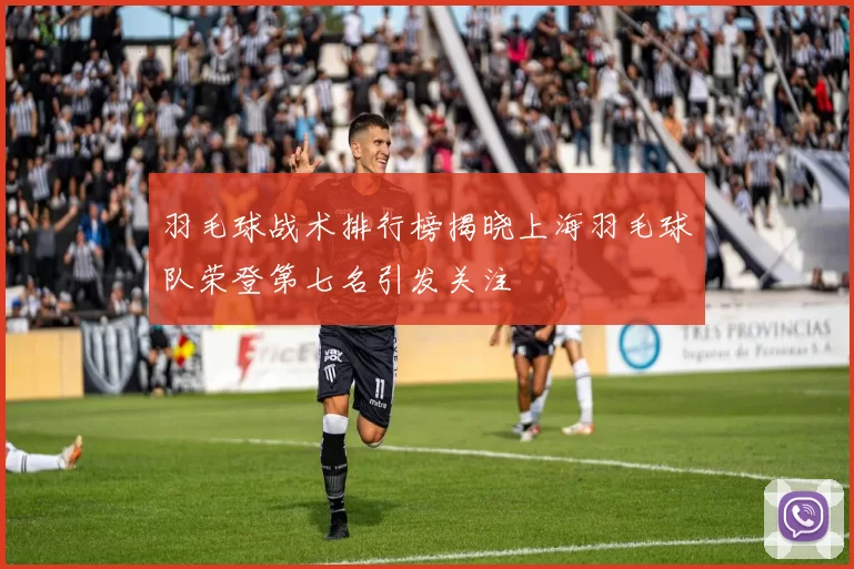 羽毛球战术排行榜揭晓上海羽毛球队荣登第七名引发关注