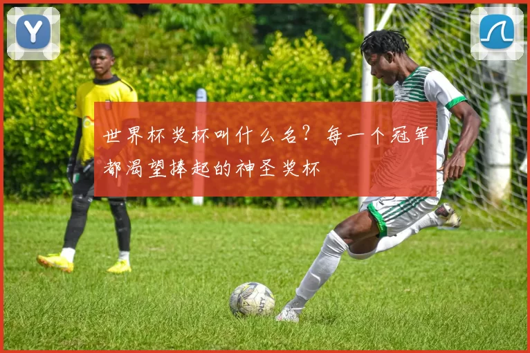 世界杯奖杯叫什么名？每一个冠军都渴望捧起的神圣奖杯
