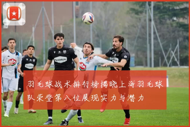 羽毛球战术排行榜揭晓上海羽毛球队荣登第八位展现实力与潜力