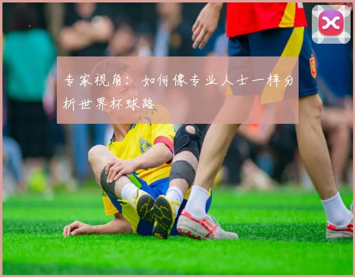 专家视角:如何像专业人士一样分析世界杯球路