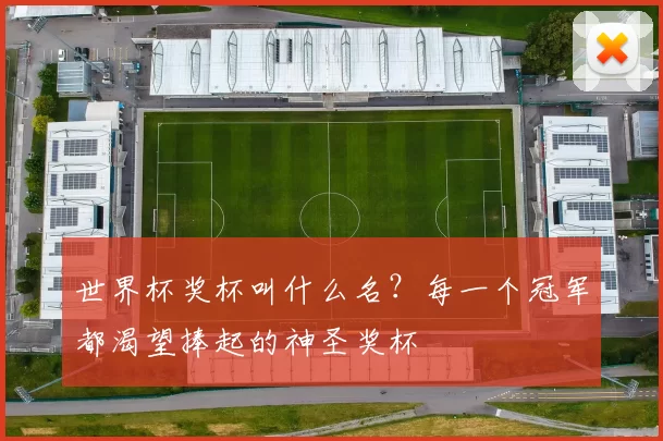 世界杯奖杯叫什么名？每一个冠军都渴望捧起的神圣奖杯