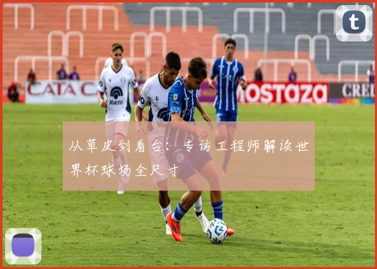 从草皮到看台：专访工程师解读世界杯球场全尺寸