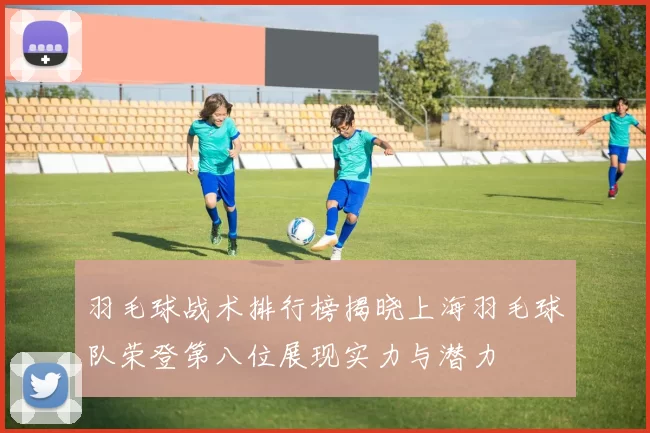 羽毛球战术排行榜揭晓上海羽毛球队荣登第八位展现实力与潜力