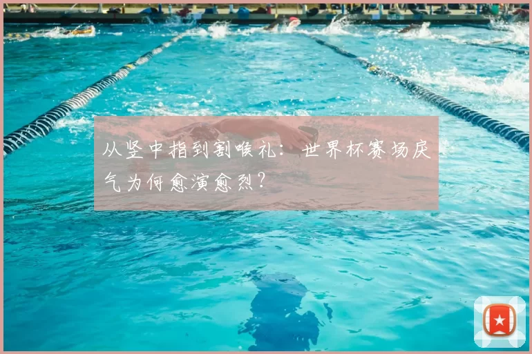 从竖中指到割喉礼：世界杯赛场戾气为何愈演愈烈？