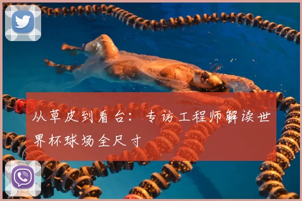 从草皮到看台：专访工程师解读世界杯球场全尺寸