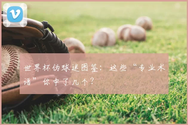 世界杯伪球迷图鉴：这些“专业术语”你中了几个？