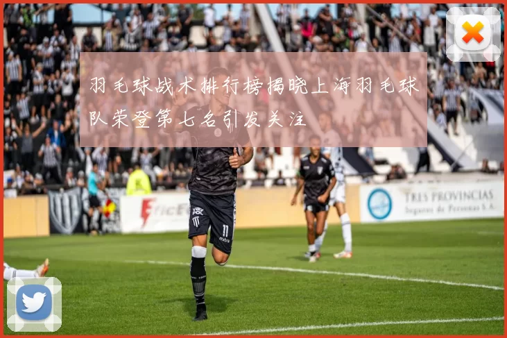 羽毛球战术排行榜揭晓上海羽毛球队荣登第七名引发关注