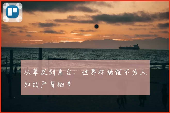 从草皮到看台：世界杯场馆不为人知的严苛细节