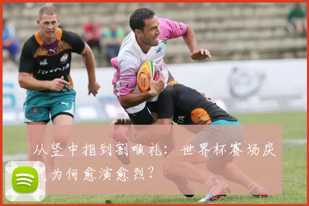 从竖中指到割喉礼：世界杯赛场戾气为何愈演愈烈？