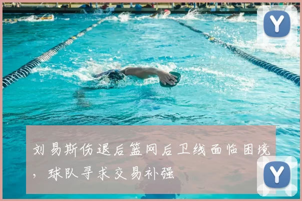 刘易斯伤退后篮网后卫线面临困境，球队寻求交易补强