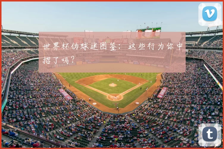 世界杯伪球迷图鉴：这些行为你中招了吗？