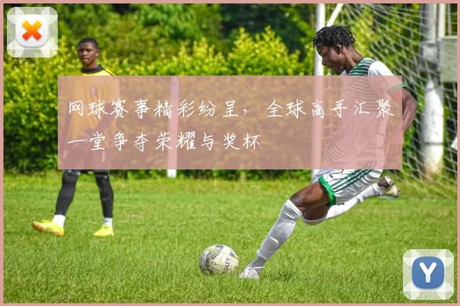 网球赛事精彩纷呈，全球高手汇聚一堂争夺荣耀与奖杯