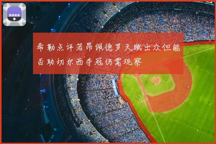 希勒点评若昂佩德罗天赋出众但能否助切尔西夺冠仍需观察